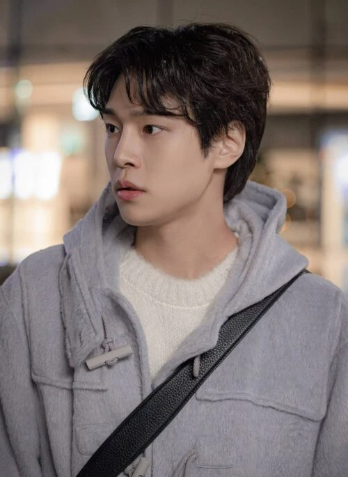 Grey Horn Button Winter Coat | Um Jae Il - Resident Playbook
