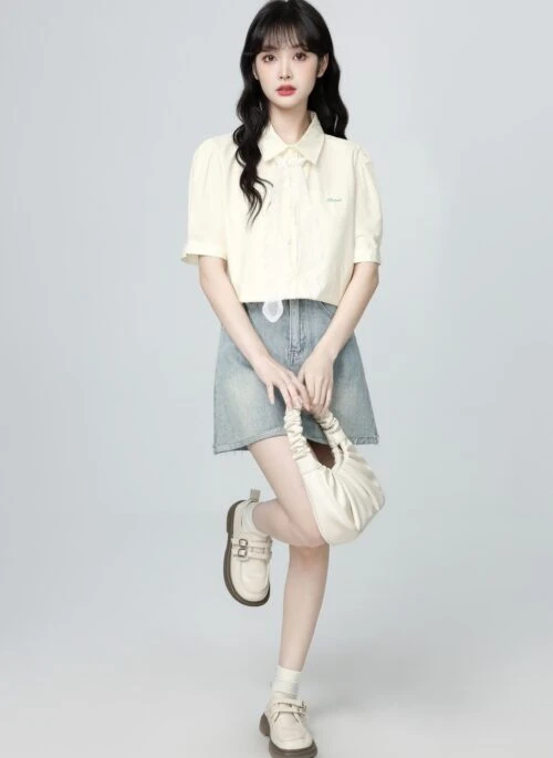 Lace Trim Polo Collar Short Sleeve Blouse