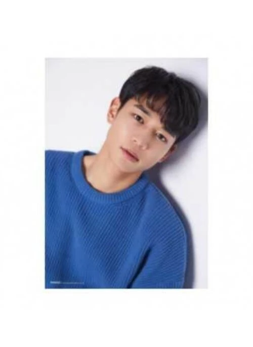 Minho “Best Choi’s” Merch – Poster