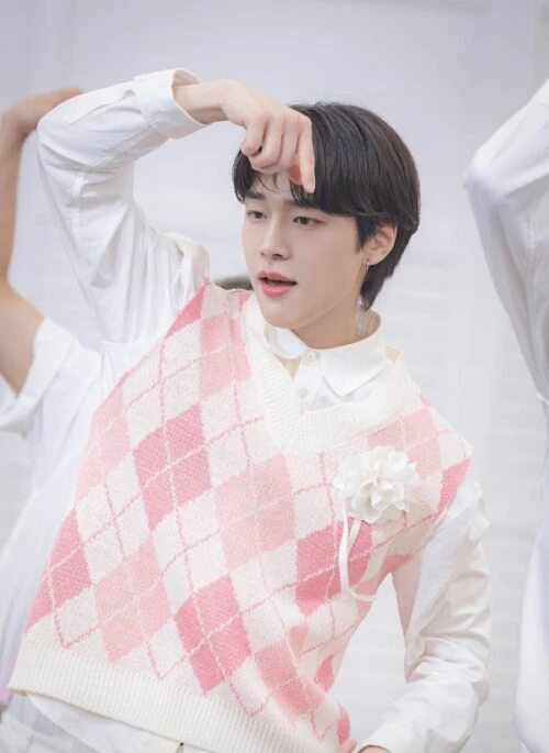 Pink V-Neck Argyle Vest | Um Jae Il - Resident Playbook