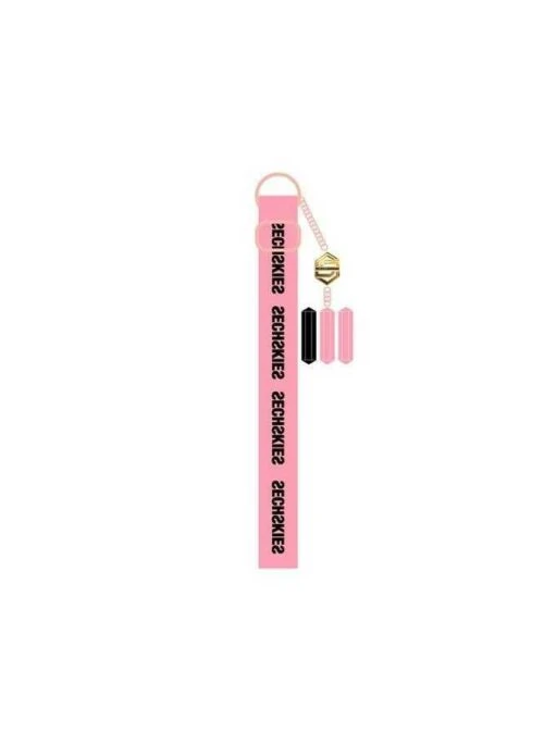 SECHSKIES 20th Anniversary Concert Merch – Leather Strap