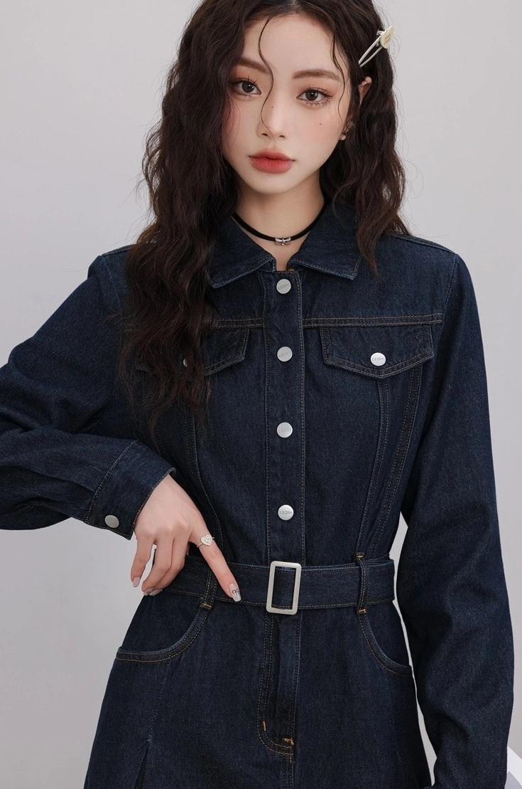 Denim Collared Dress With Pockets