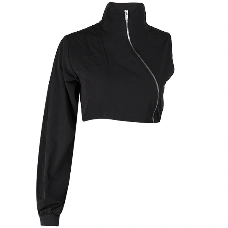 Stand Collar Sweater With One Sleeve